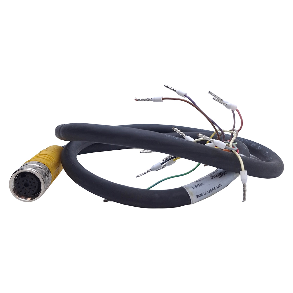 Used Turck BKM 19-1958-1/S101 Single-Ended Cordset M16 19-Pin Female, 30VAC/DC 3A, 1m
