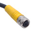 Used Turck BKM 19-1958-1/S101 Single-Ended Cordset M16 19-Pin Female, 30VAC/DC 3A, 1m