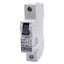 Used Lot of 2 ABL Sursum 1DU10 Circuit Breaker, 1-Pole, 10A 277VAC, DIN Rail