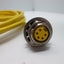 Used Banner PMCF-510C 57475 5-Pin Bulk Head Cable, Female, 11' Length
