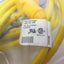 Used Lot of 2 Turck WK50-4M Cordset 11' Length Each 5-Pole Female Mini Connection