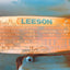 Used Leeson C145T17FZ4C Electric Motor 208-230/460VAC 8.6/4.7A 2.2kW 3HP K100L Frame