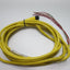 Used Allen-Bradley 889R-F6ECA-5 AC Mirco Style Cordset, 10', 22AWG, 6-Pin