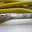 Used Allen-Bradley 889R-F6ECA-5 AC Mirco Style Cordset, 8', 22AWG, 6-Pin