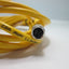 Used Turck U2515-65 Cable, 7' long, 3 Conductor, M8 Female Connector