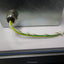 Used Schaffner FE 354-15/03 4-Wire Filter 3 Phase + Neutral 380/420VAC 50Hz 15A