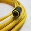 Used Turck PKW 3Z-5 Cordset, Picofast Straight Female Connection, 3-Pin