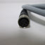 Used Lot of 2 Picofast Cordsets, Length: 2 Meters, 3-Pin to Flying Leads