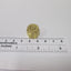 New Lot of 69 Plugs, Size: 1/4", Material: Brass, For Duolok Tube Fittings